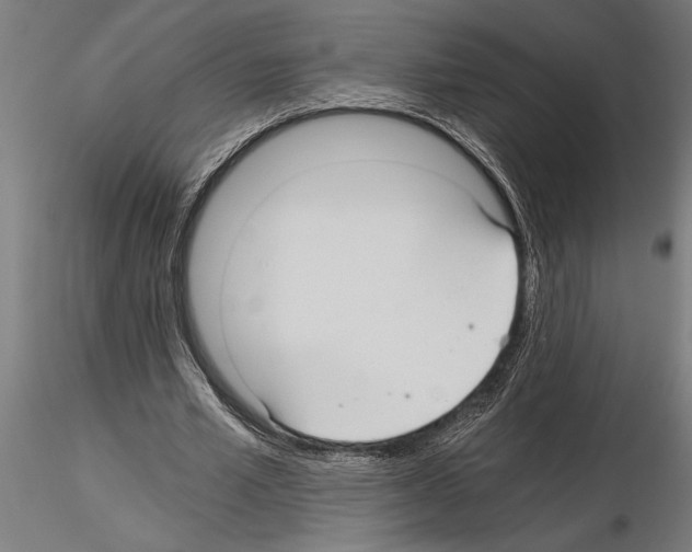 X0000115260581200912111142