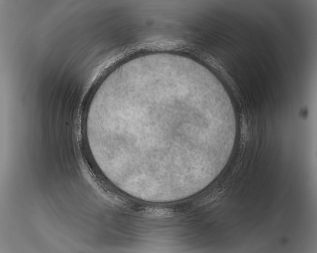 X0000115260582200912111142