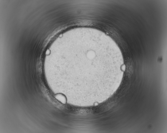 X0000115260584200912111142