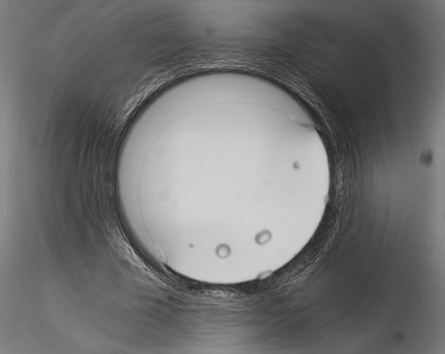 X0000115260585200912111142