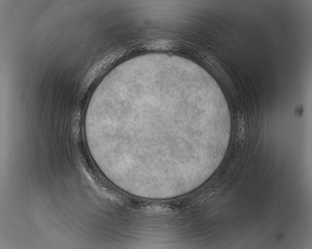 X0000115260586200912111142