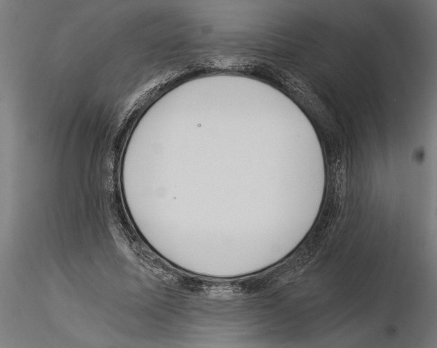 X0000115260587200912111142