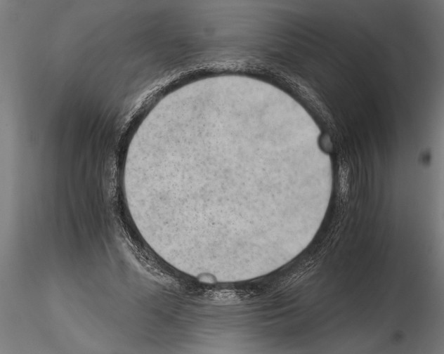 X0000115260588200912111142