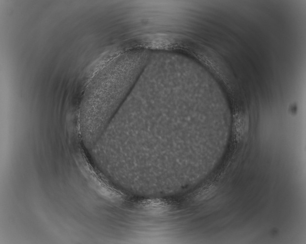 X0000115260589200912111142