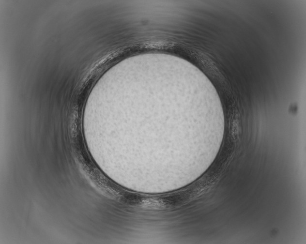 X0000115260591200912111142