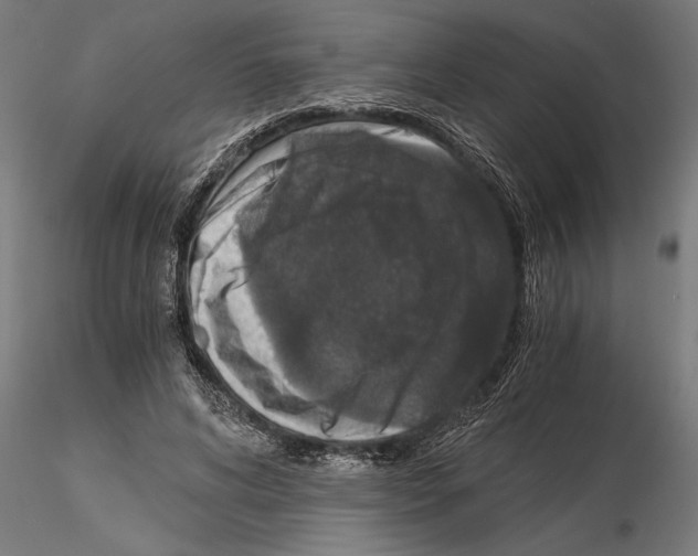 X0000115260592200912111142