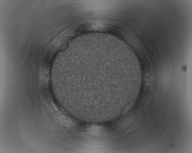 X0000115260593200912111142