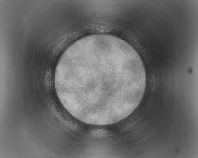 X0000115260594200912111142