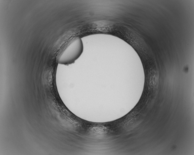 X0000115260595200912111142