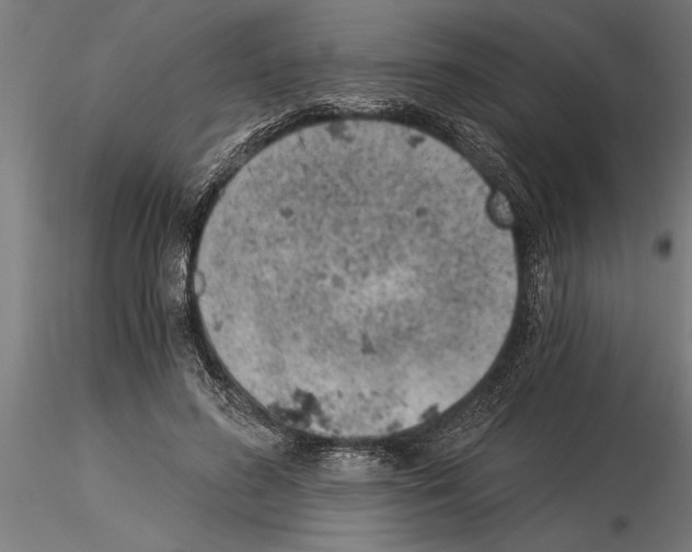 X0000115260596200912111142