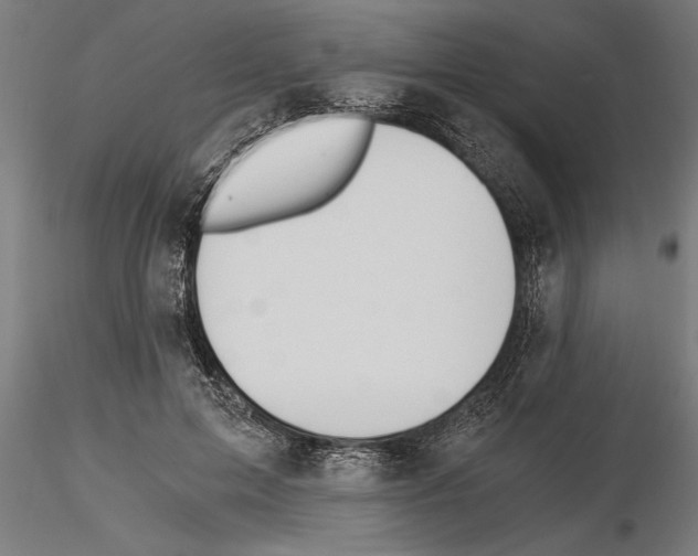 X0000115260599200912111142