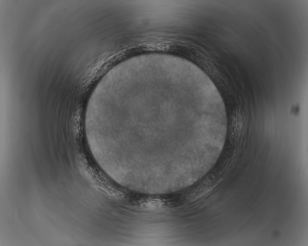 X0000115260600200912111142