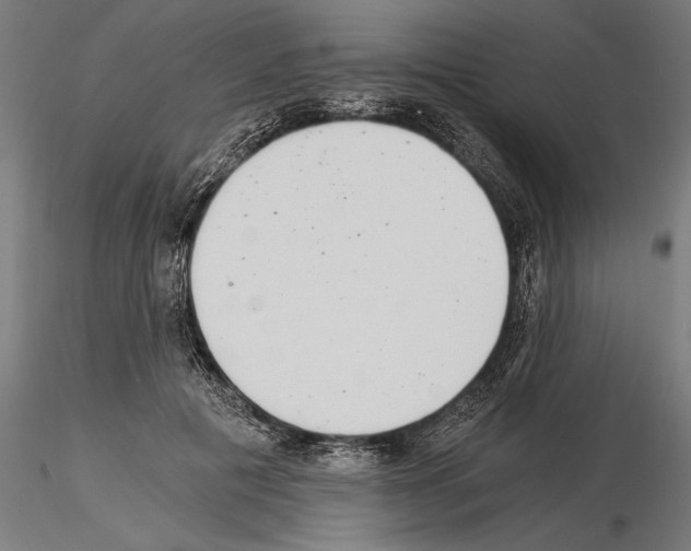 X0000115260601200912111142