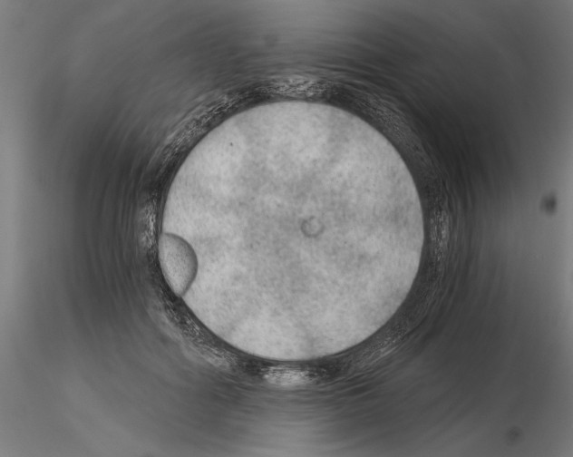 X0000115260602200912111142