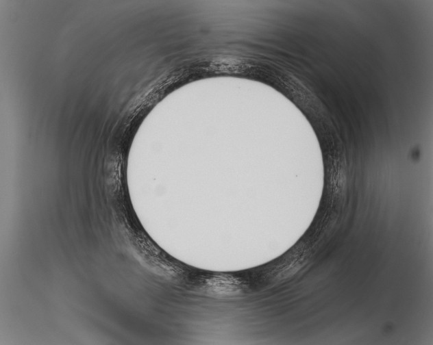 X0000115260603200912111142