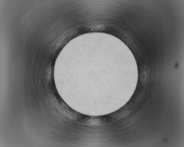 X0000115260604200912111142