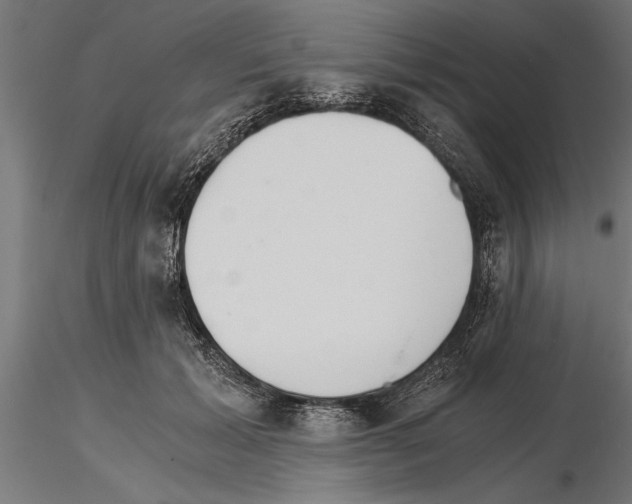 X0000115260605200912111142