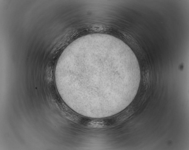 X0000115260606200912111142