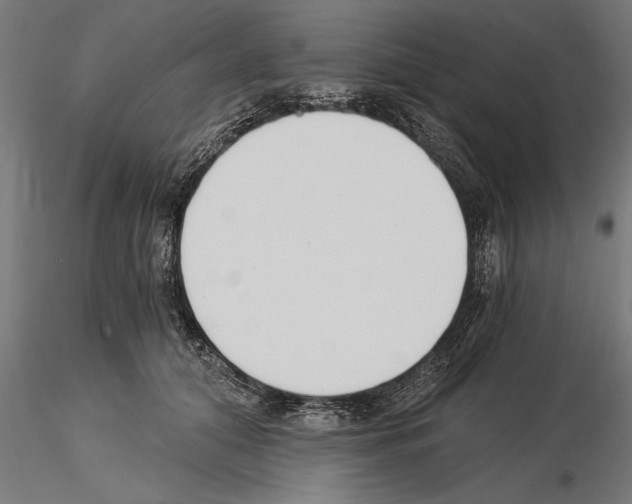 X0000115260608200912111142