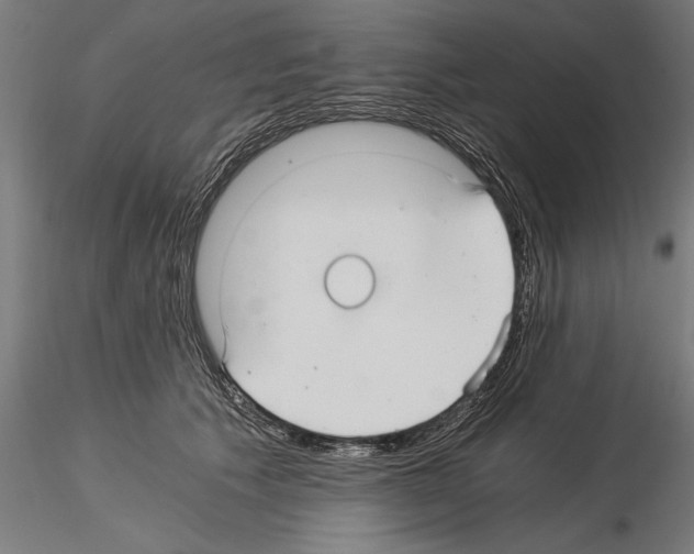 X0000115260609200912111142