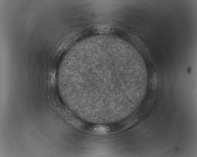 X0000115260610200912111141