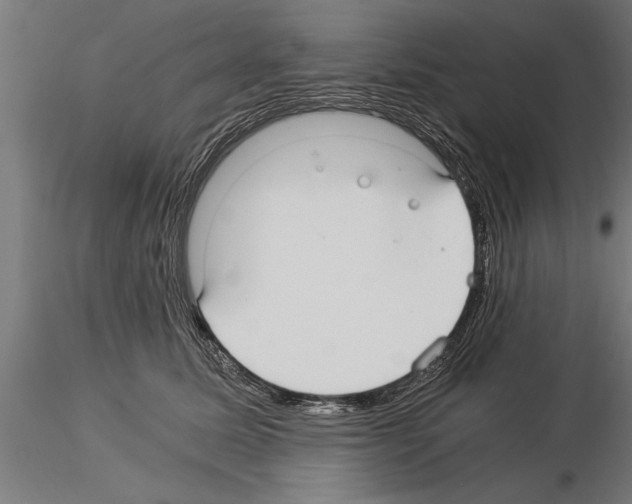 X0000115260611200912111141