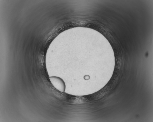 X0000115260612200912111141