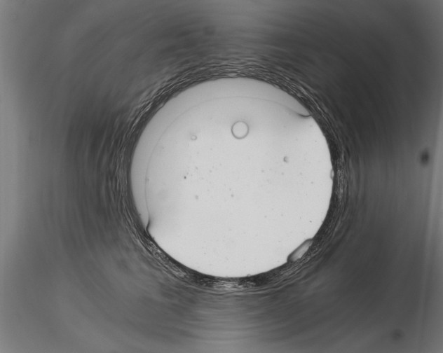 X0000115260613200912111141