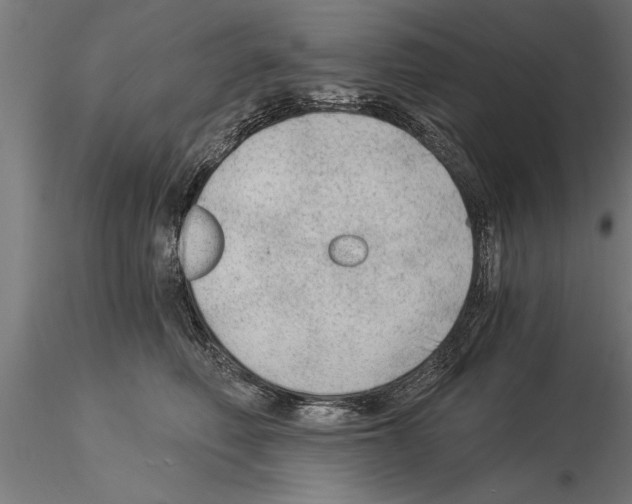 X0000115260614200912111141