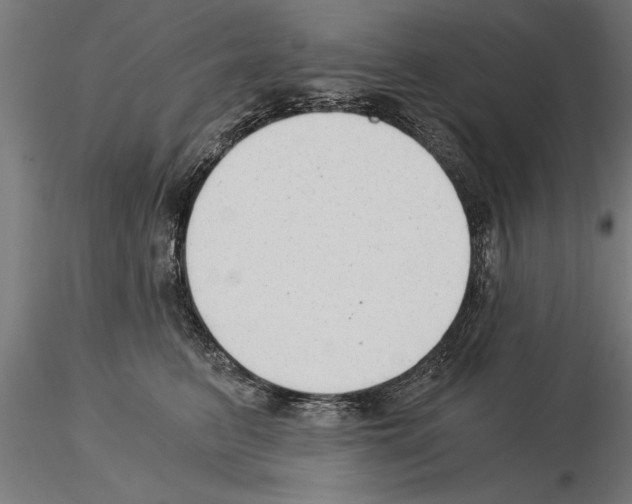 X0000115260615200912111141