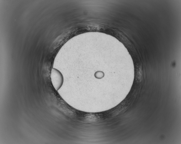 X0000115260616200912111141