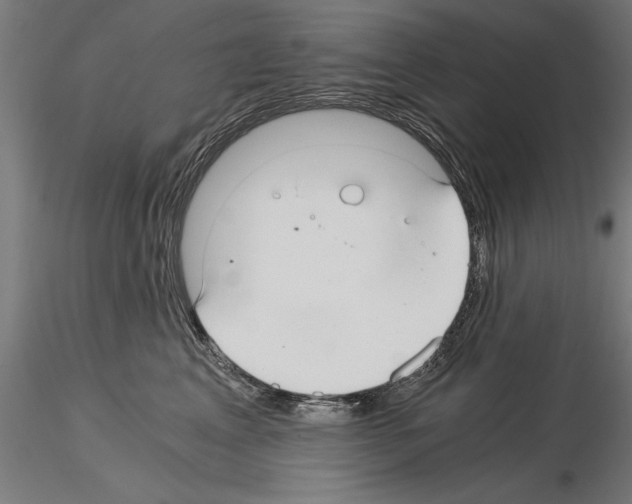 X0000115260617200912111141