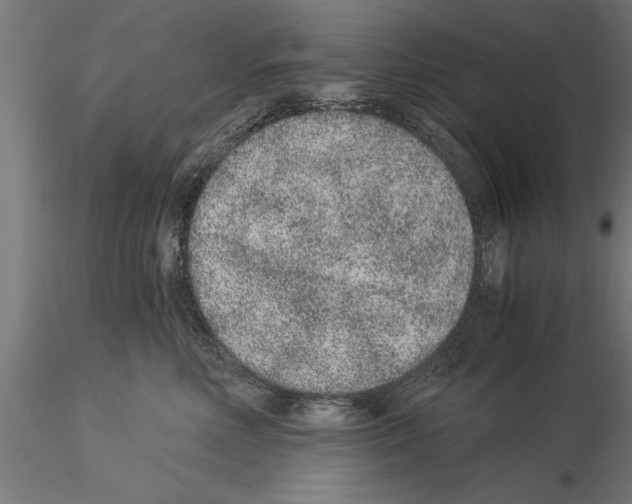 X0000115260618200912111141