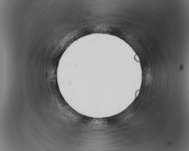 X0000115260619200912111141