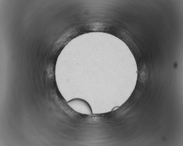 X0000115260620200912111141