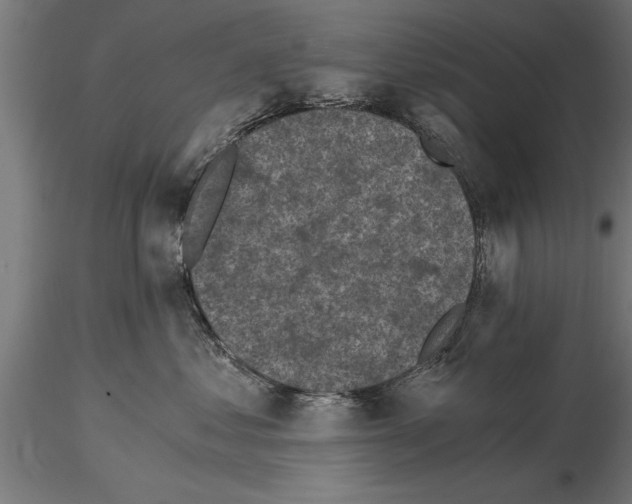 X0000115260621200912111141