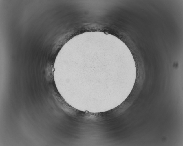 X0000115260624200912111141