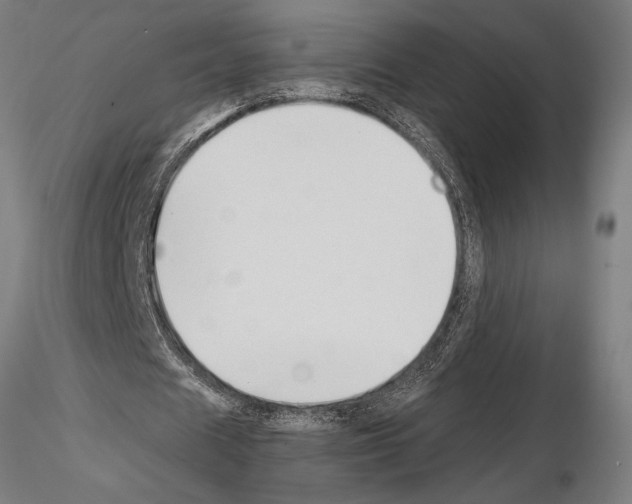 X0000115260625200912111141