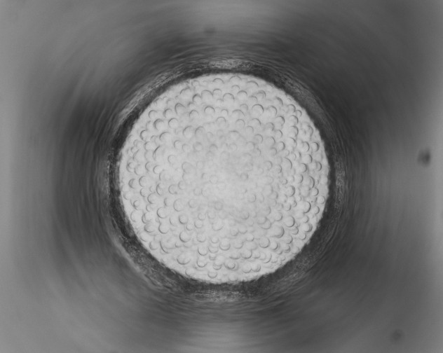 X0000115260626200912111141