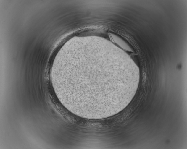 X0000115260628200912111141