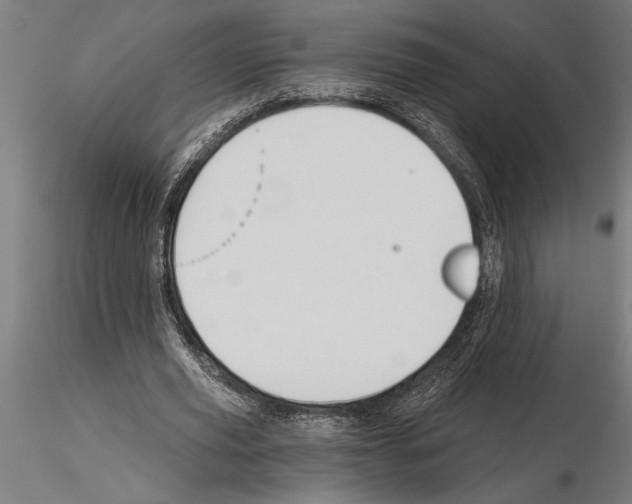 X0000115260629200912111141