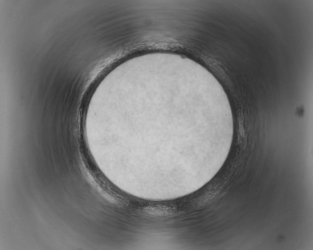 X0000115260630200912111141