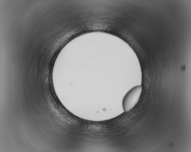 X0000115260631200912111141