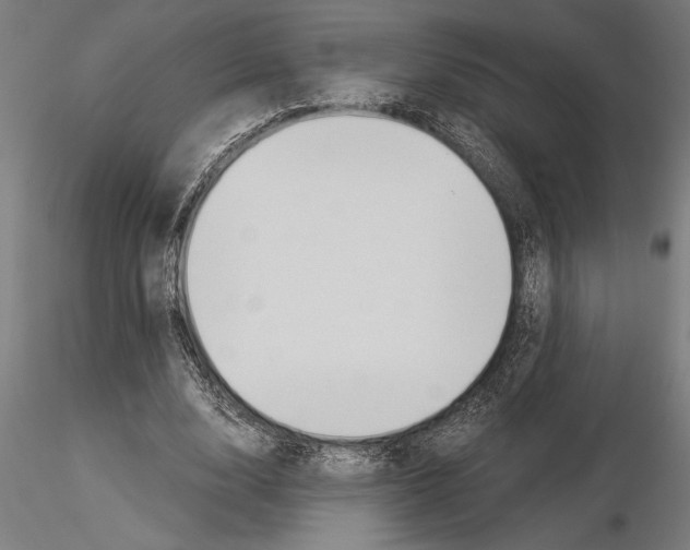 X0000115260632200912111141