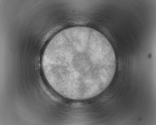 X0000115260634200912111141