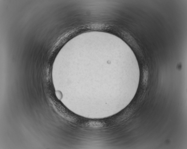 X0000115260636200912111141