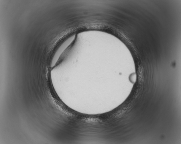 X0000115260637200912111141