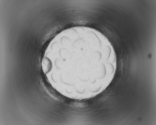 X0000115260638200912111141