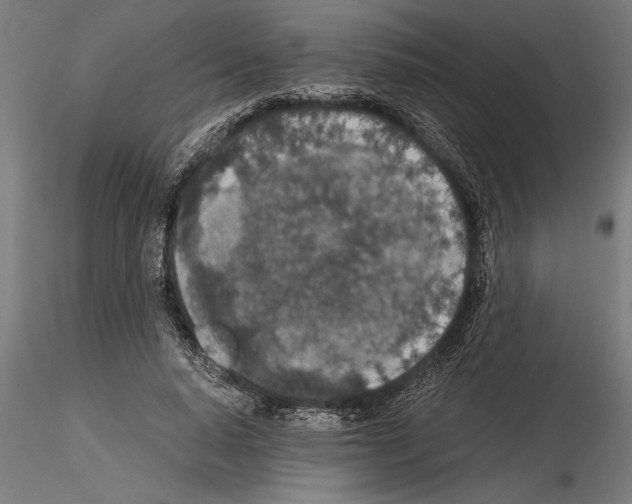 X0000115260640200912111141