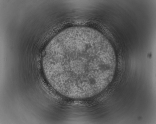 X0000115260641200912111141